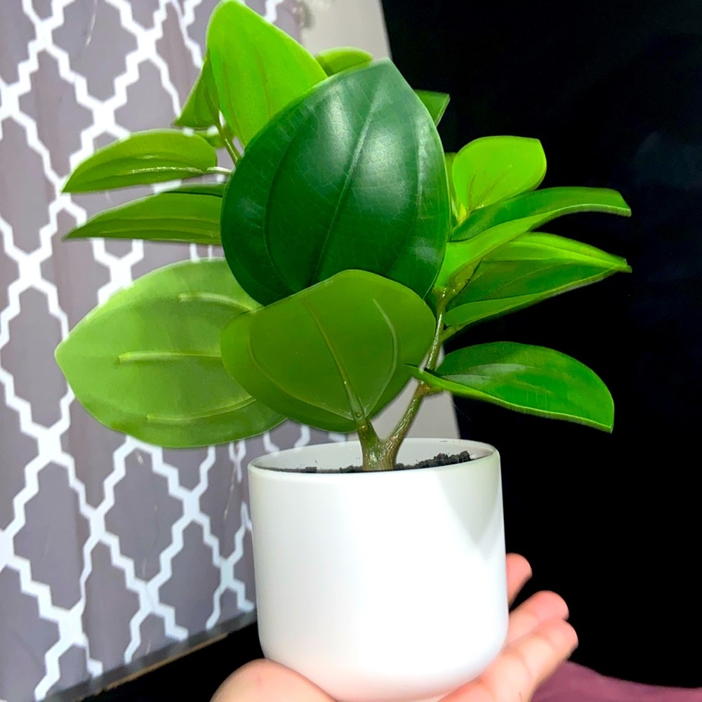 Decor